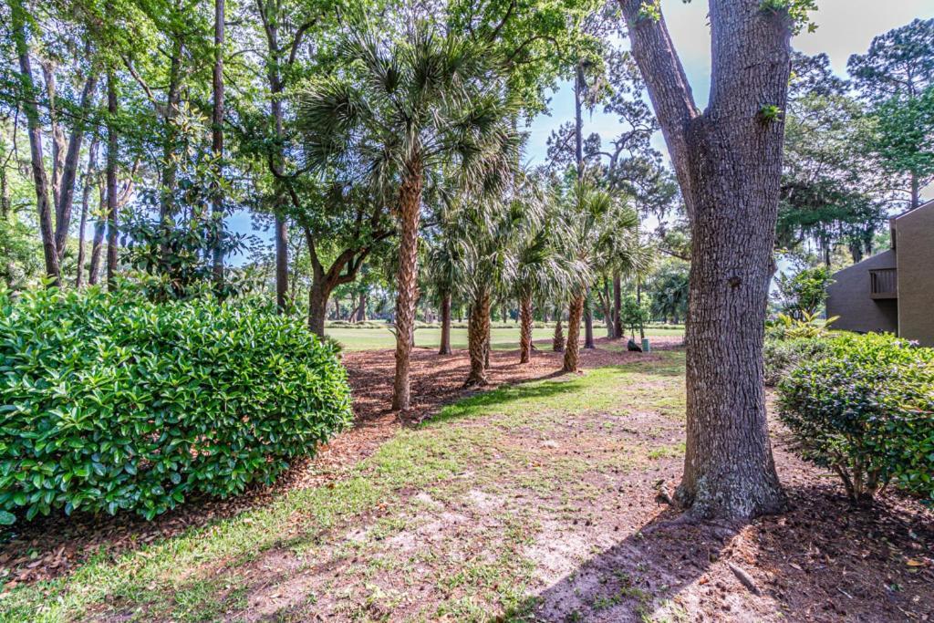 Pet Friendly! 503 Plantation Club Walk To Pool Sleeps 6 Sea Pines Βίλα Hilton Head Island Εξωτερικό φωτογραφία