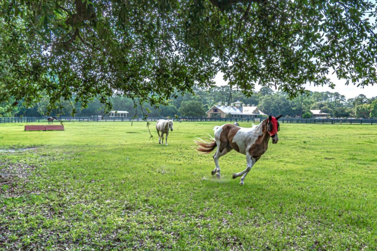 Pet Friendly! 503 Plantation Club Walk To Pool Sleeps 6 Sea Pines Βίλα Hilton Head Island Εξωτερικό φωτογραφία